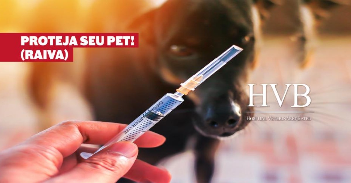 Proteja seu pet!